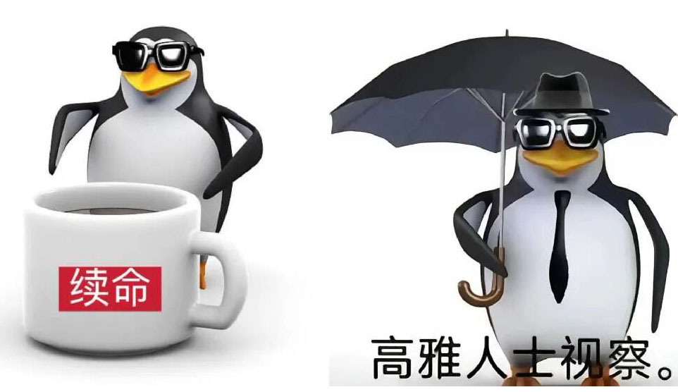 火爆全网的“高雅企鹅”，到底是什么来头？